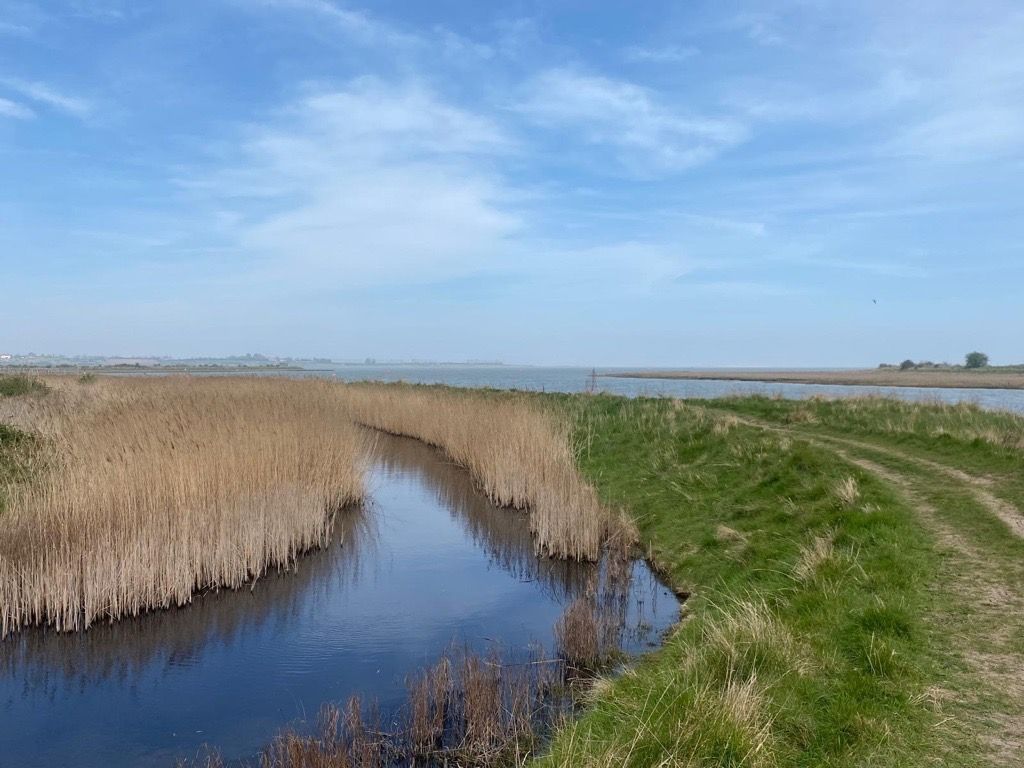 The Swale near Oare & Faversham, Kent